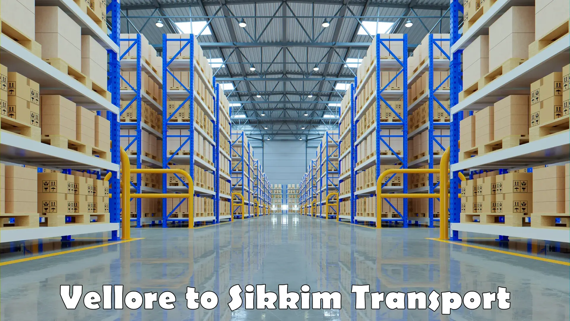 Express transport services in Vellore to Sikkim