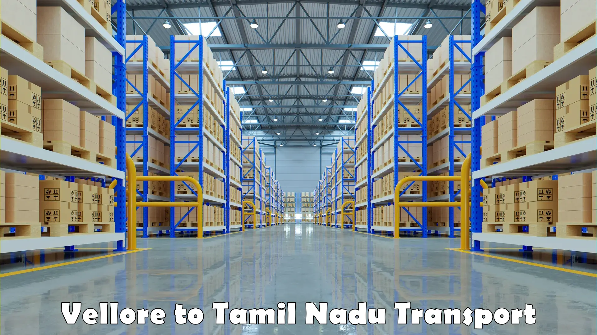 Parcel transport services in Vellore to Periyar University Salem