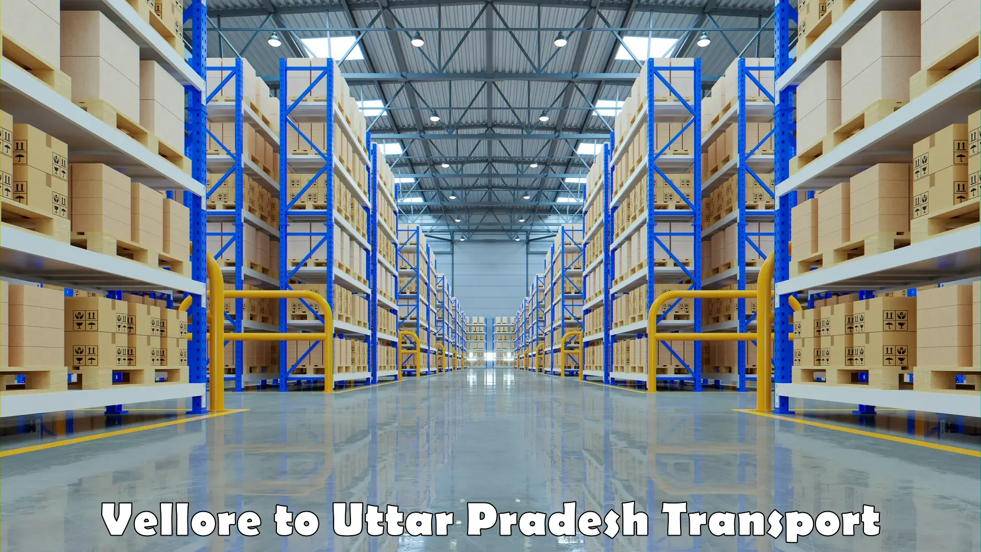Parcel transport services Vellore to Uttar Pradesh