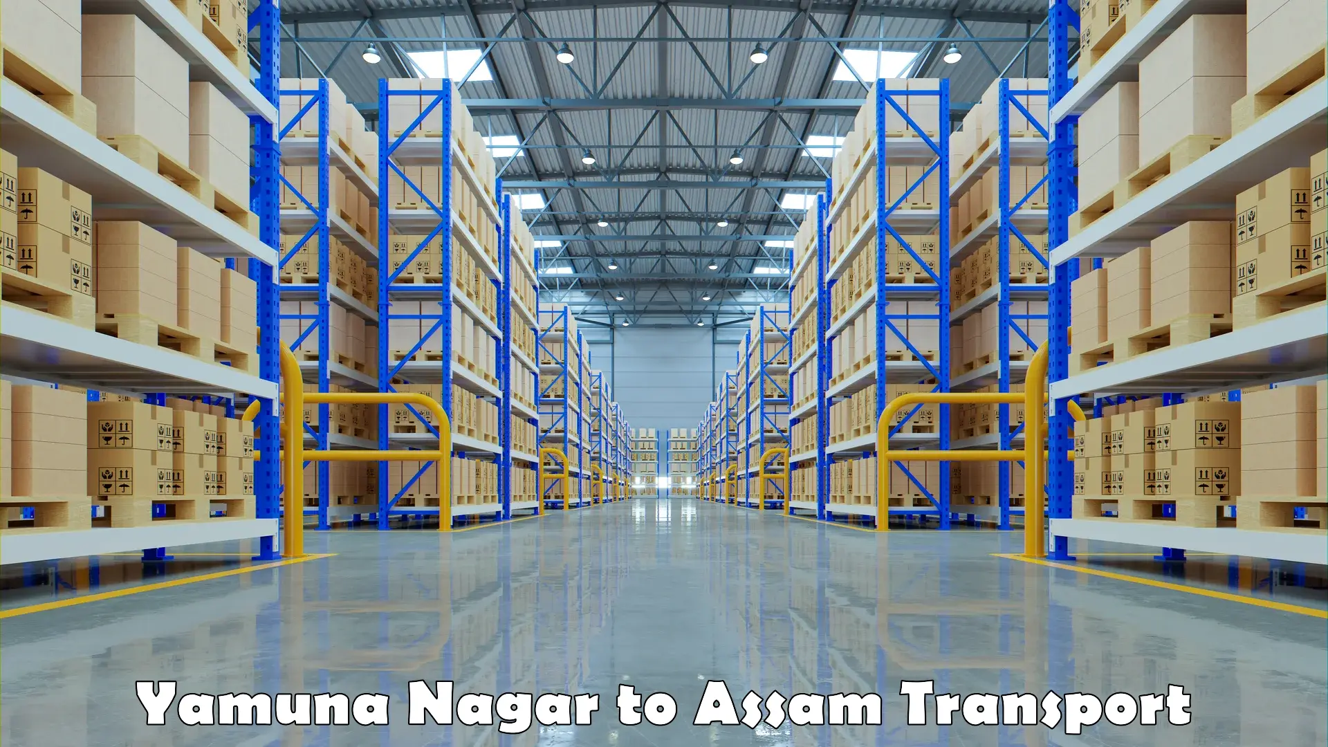 Logistics transportation services Yamuna Nagar to Bamunimaidan
