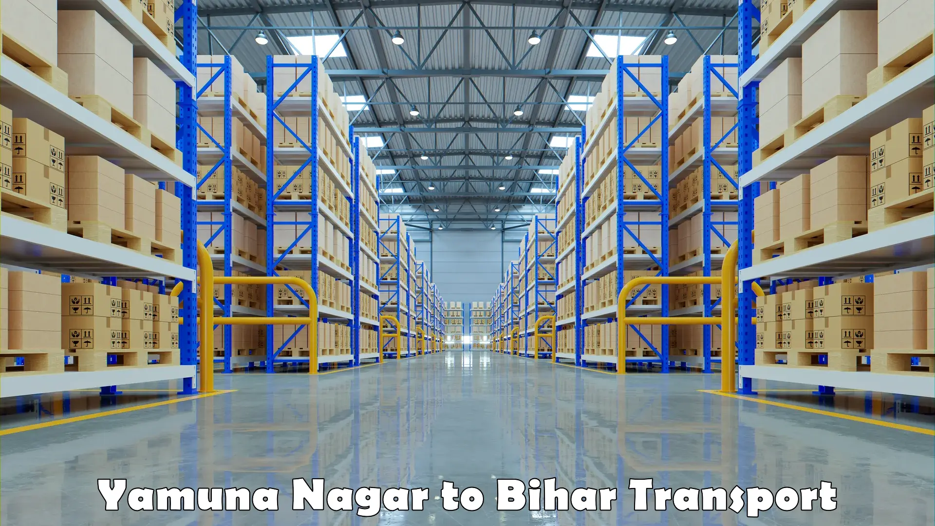 Interstate goods transport Yamuna Nagar to Madhepura