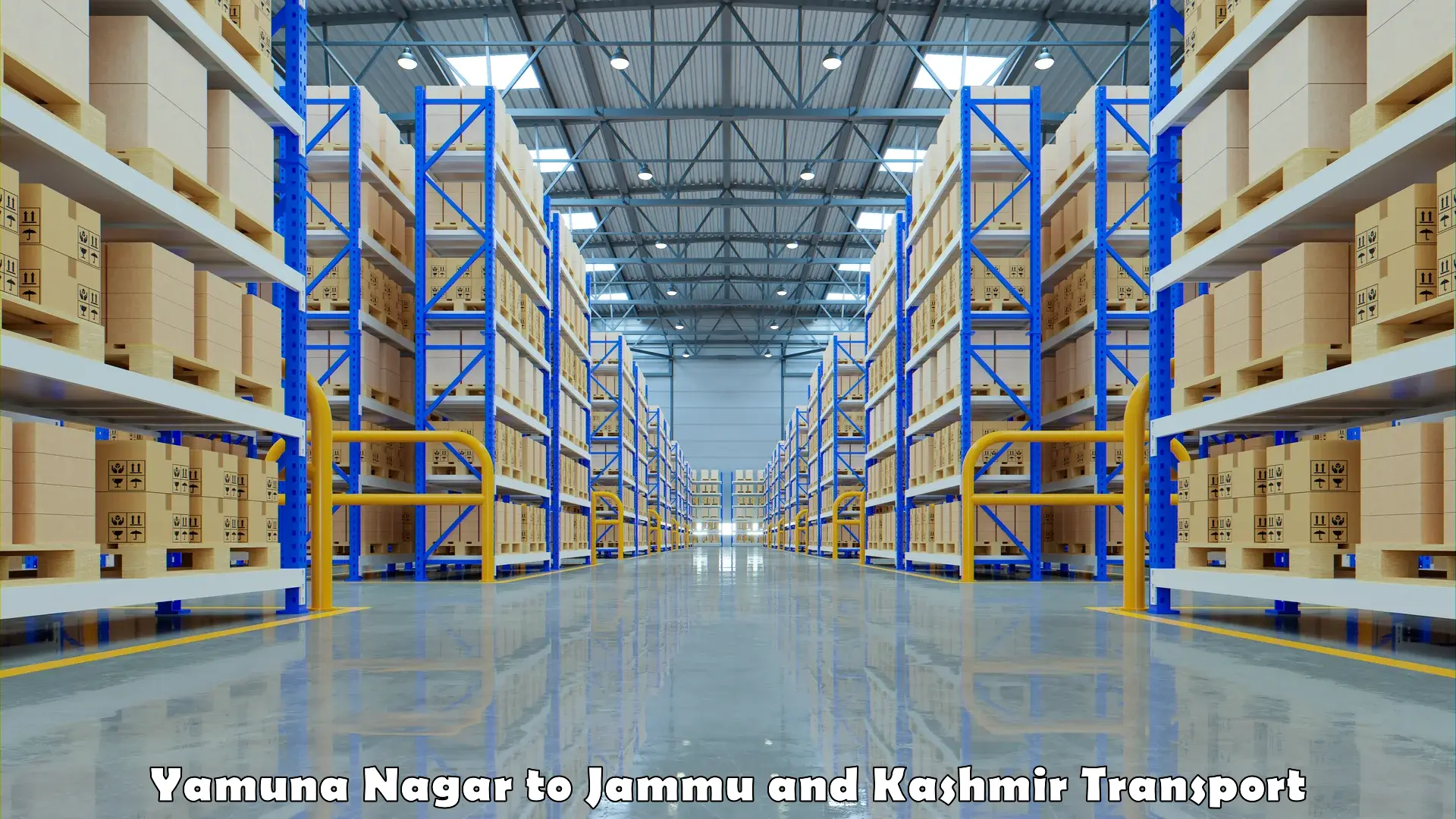 Package delivery services Yamuna Nagar to NIT Srinagar