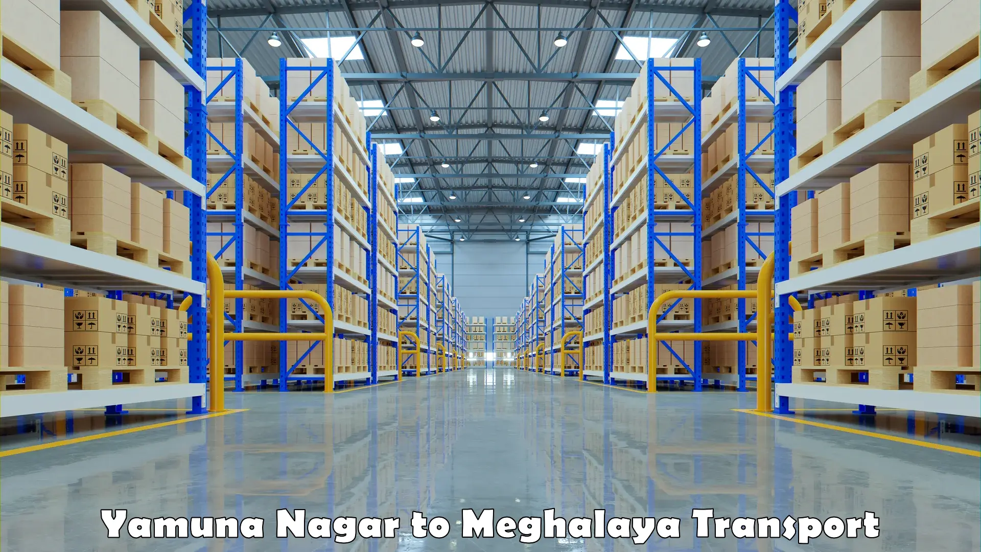 Daily parcel service transport Yamuna Nagar to NIT Meghalaya