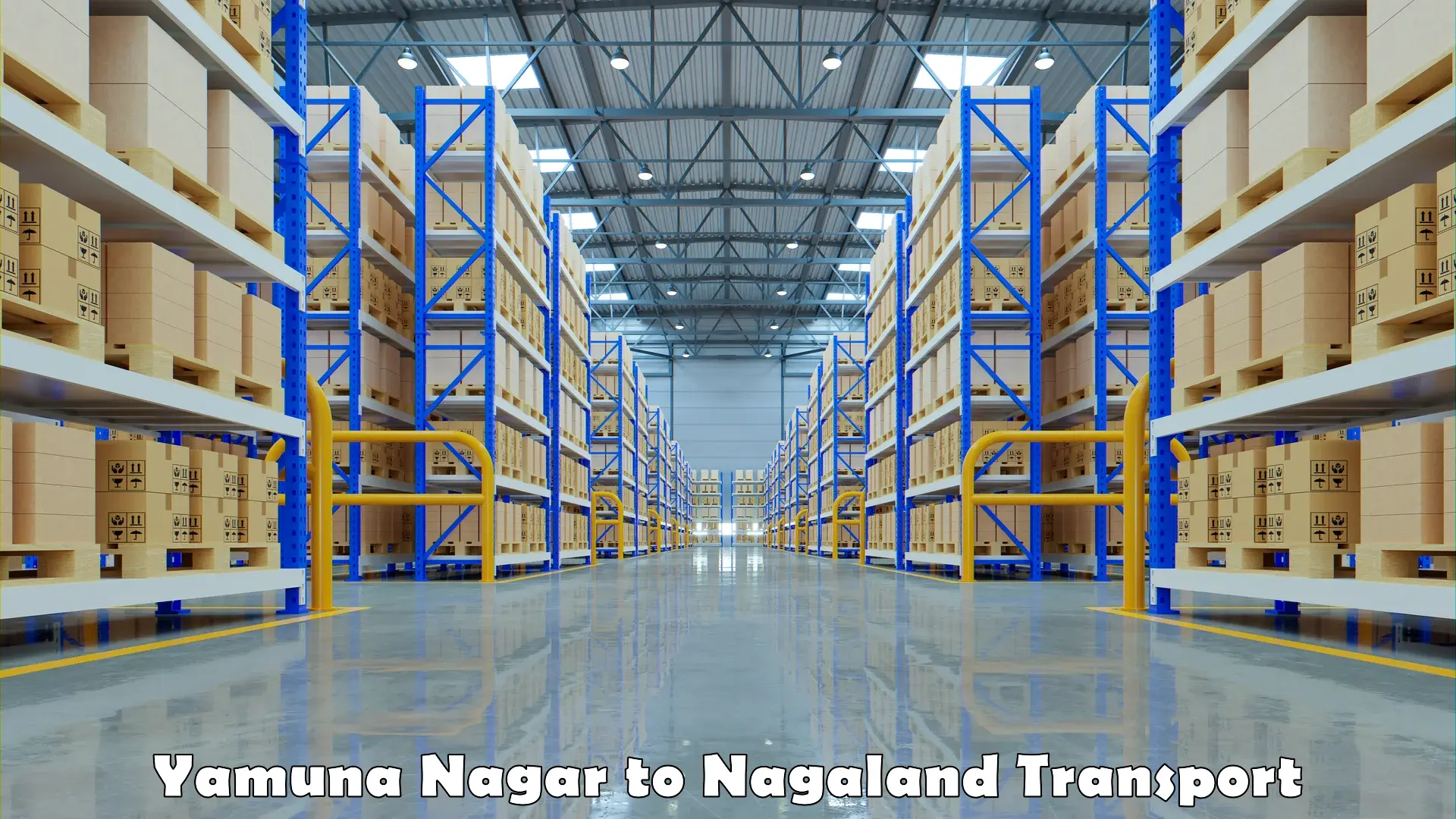 Material transport services Yamuna Nagar to NIT Nagaland