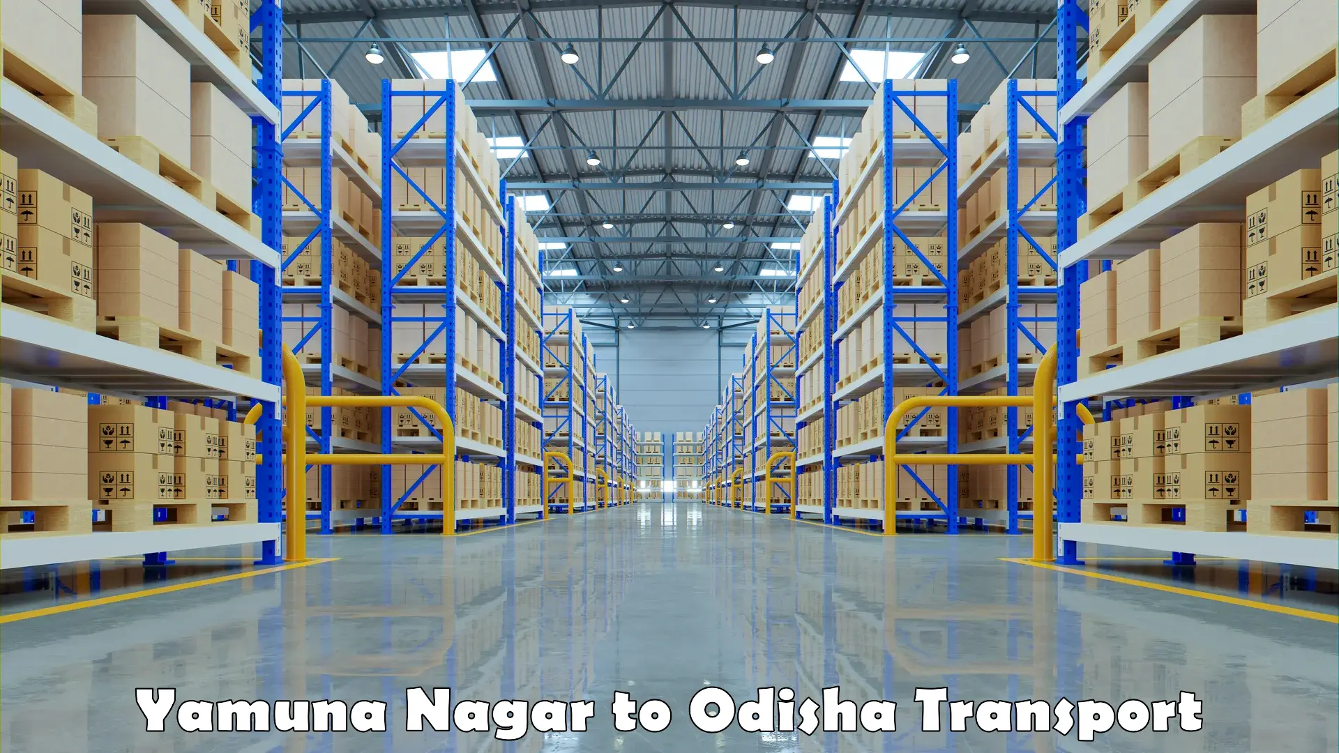 Online transport service Yamuna Nagar to Pallahara