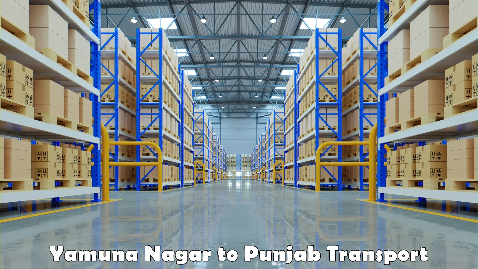 International cargo transportation services Yamuna Nagar to Zirakpur