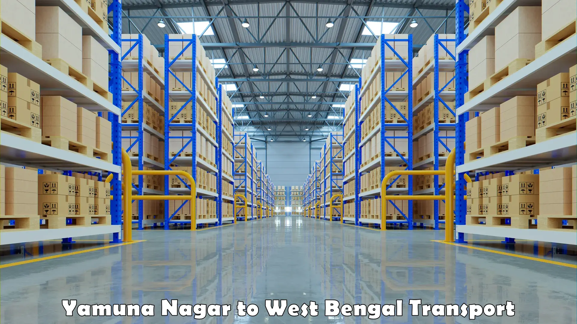 Cargo transportation services Yamuna Nagar to Kolkata