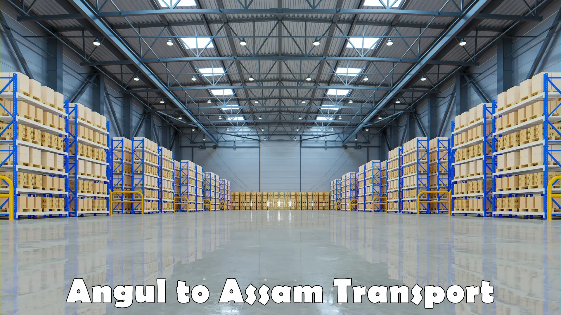 Logistics transportation services Angul to Gauhati University Guwahati
