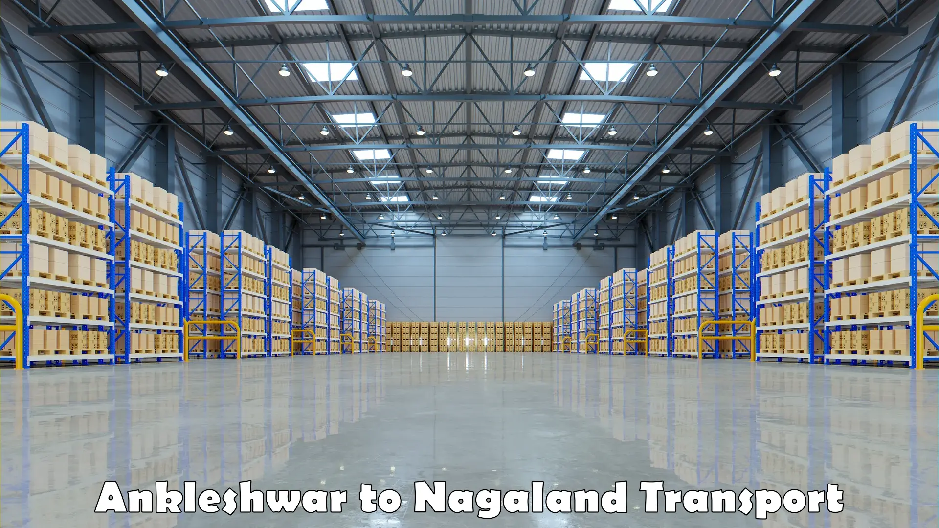 Vehicle transport services Ankleshwar to Nagaland