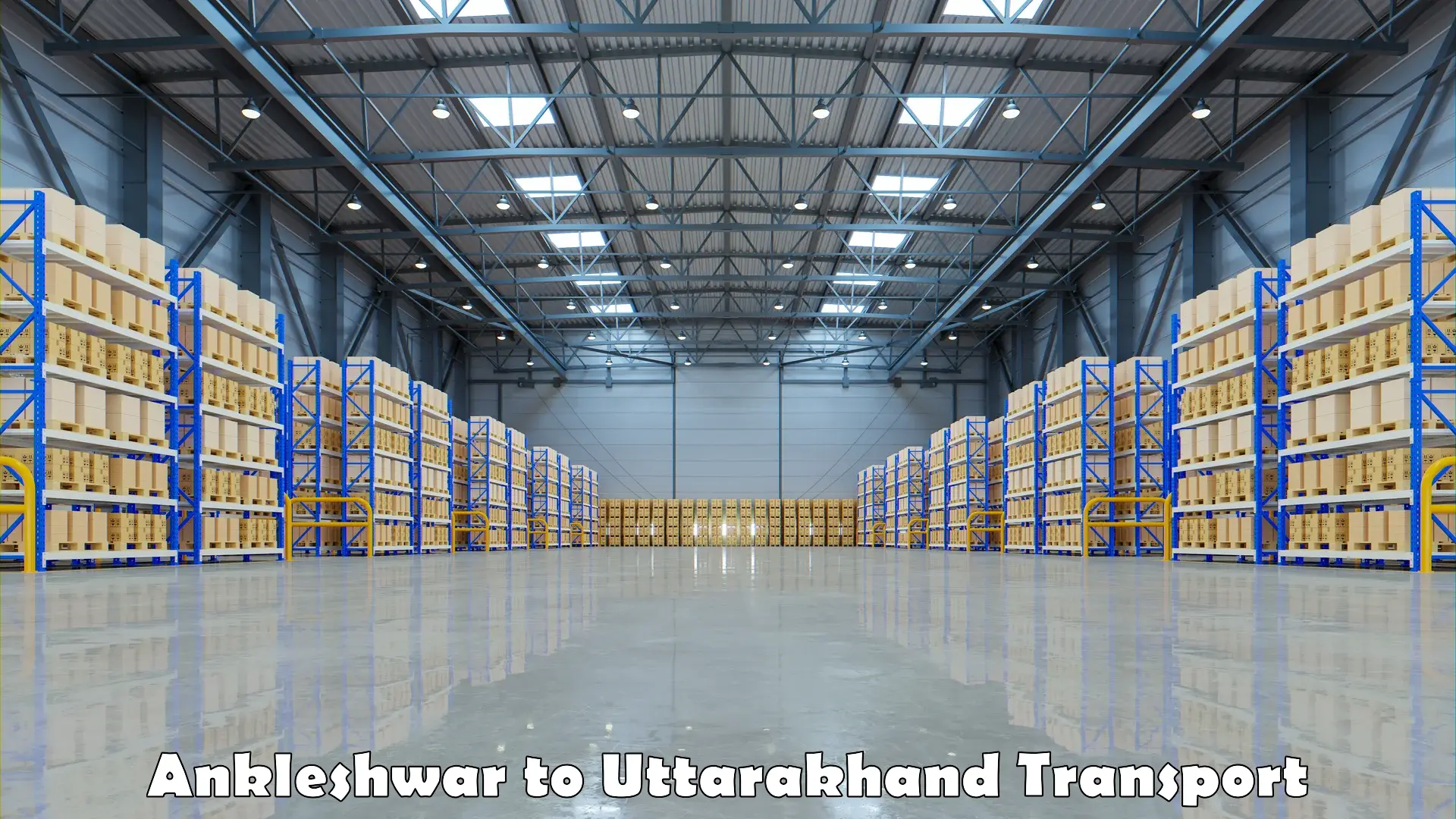 Transport shared services in Ankleshwar to Uttarakhand