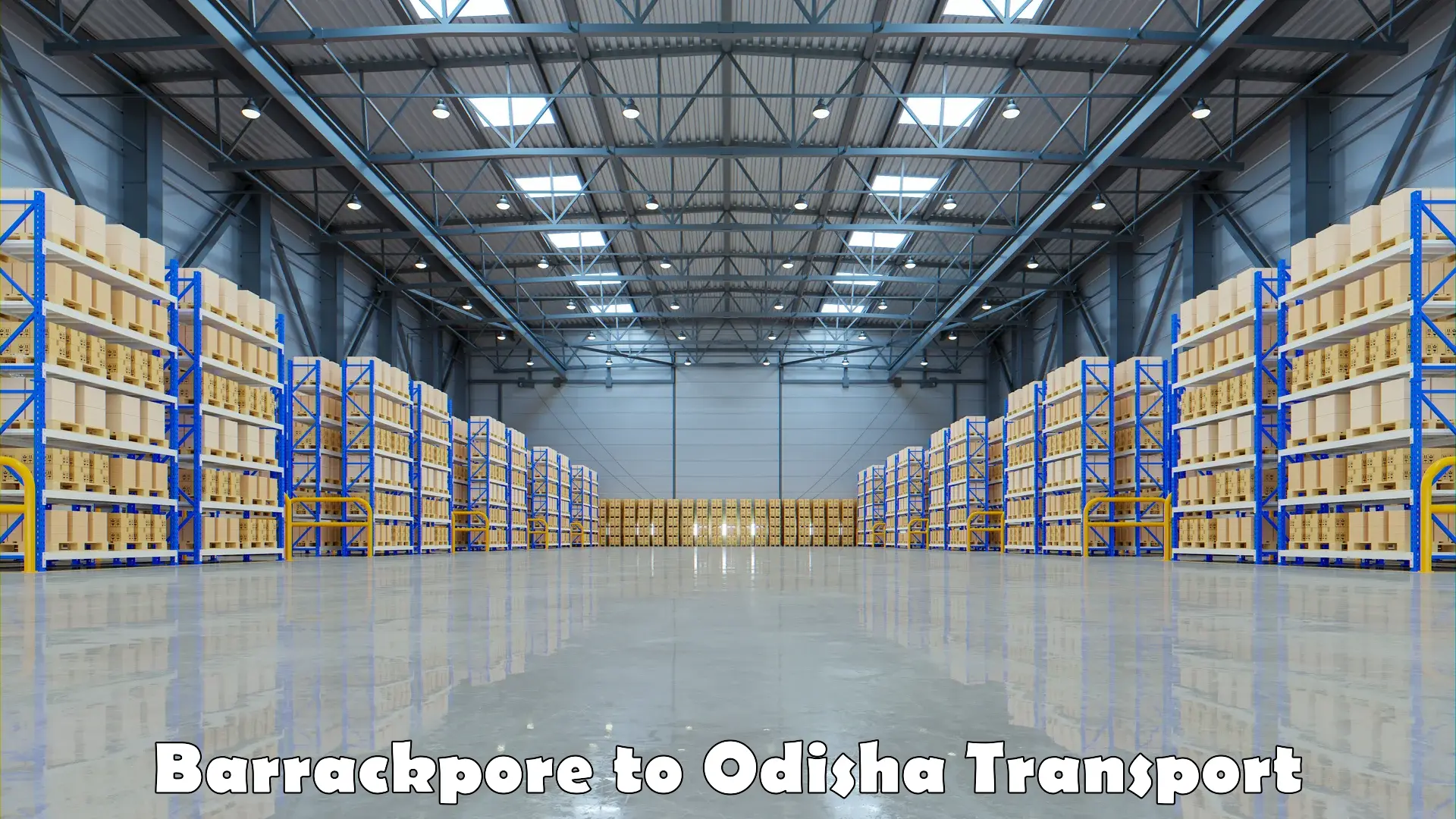 Parcel transport services Barrackpore to Odisha
