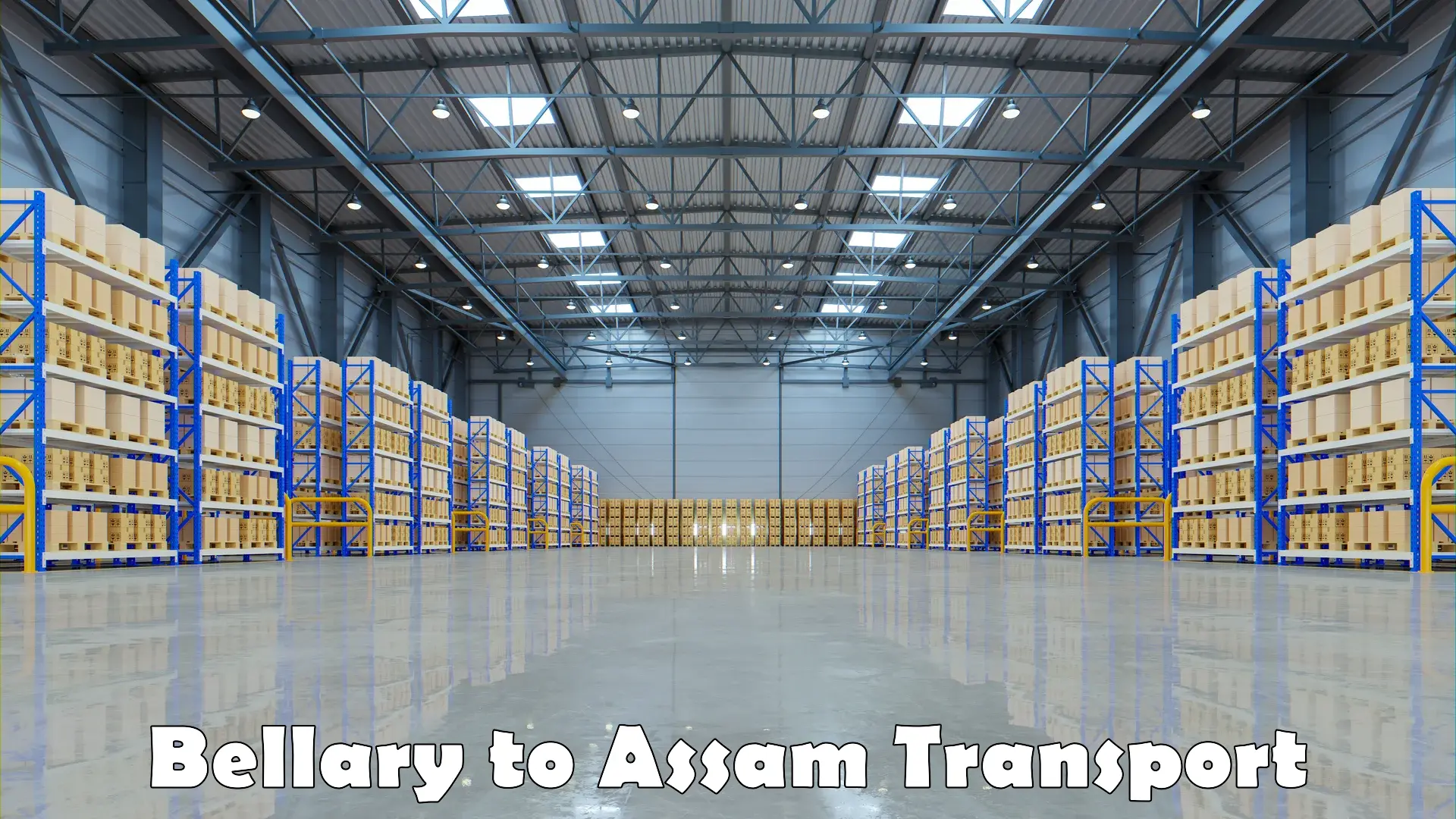 Domestic transport services Bellary to Assam