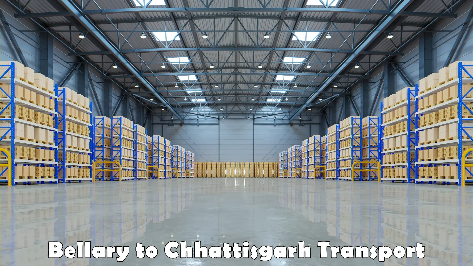 Cargo train transport services in Bellary to Bhilai