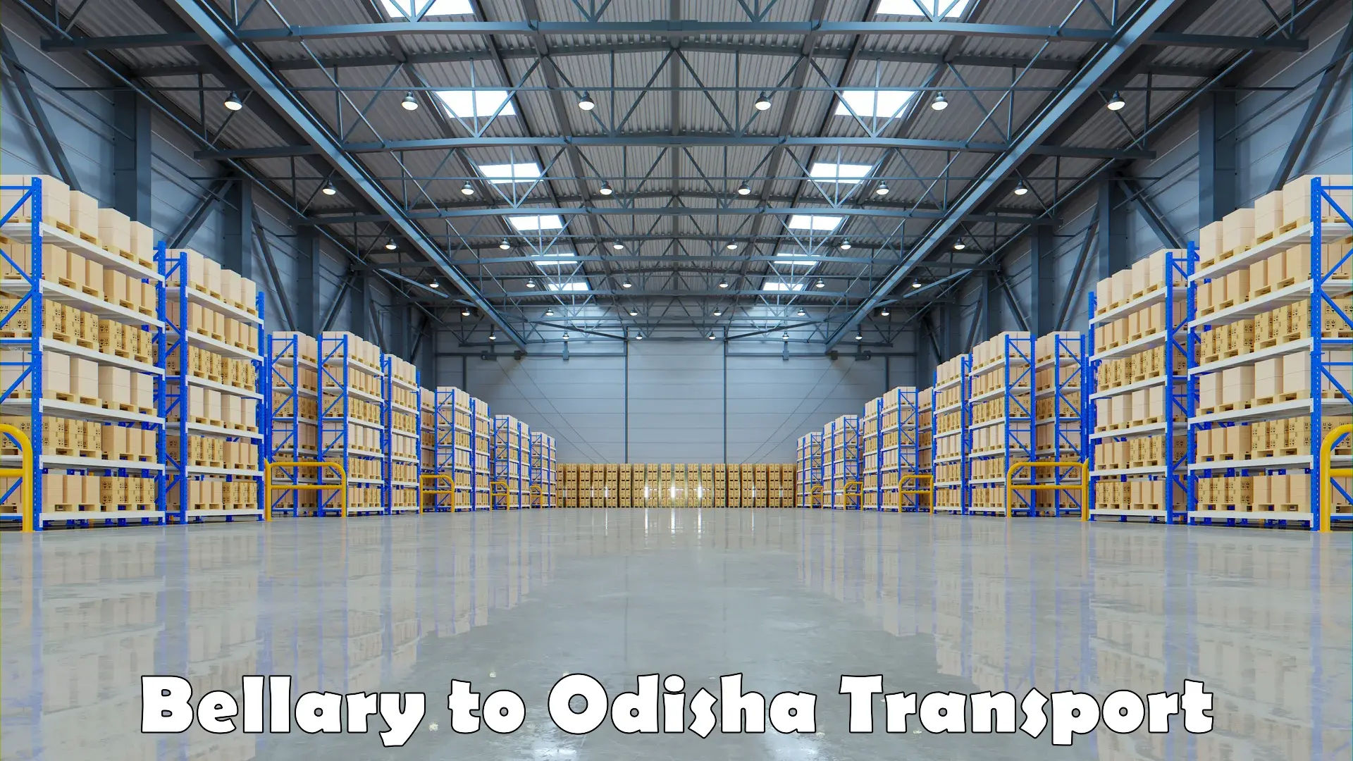 Cargo train transport services Bellary to Odisha