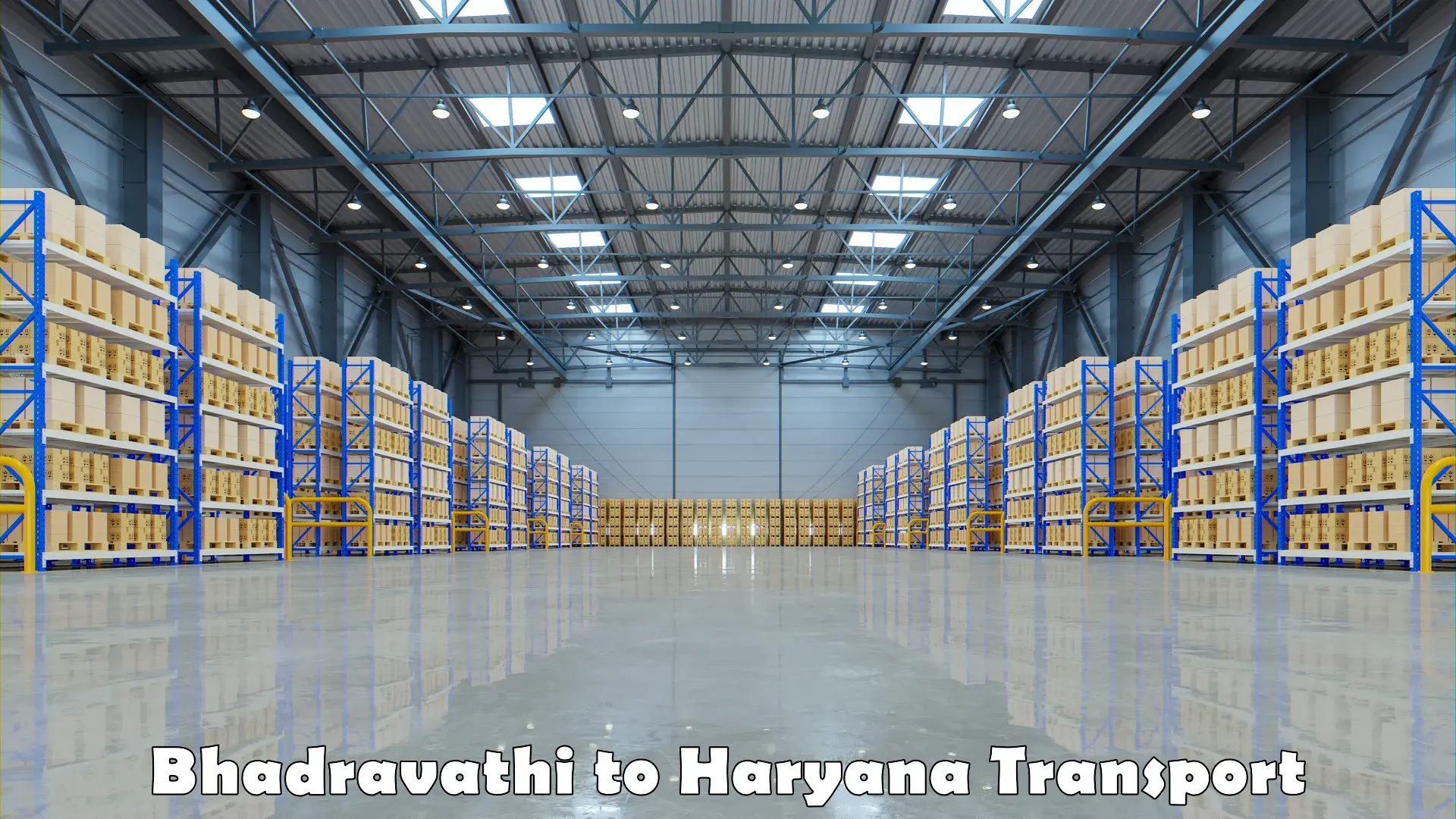 Intercity goods transport Bhadravathi to Sohna