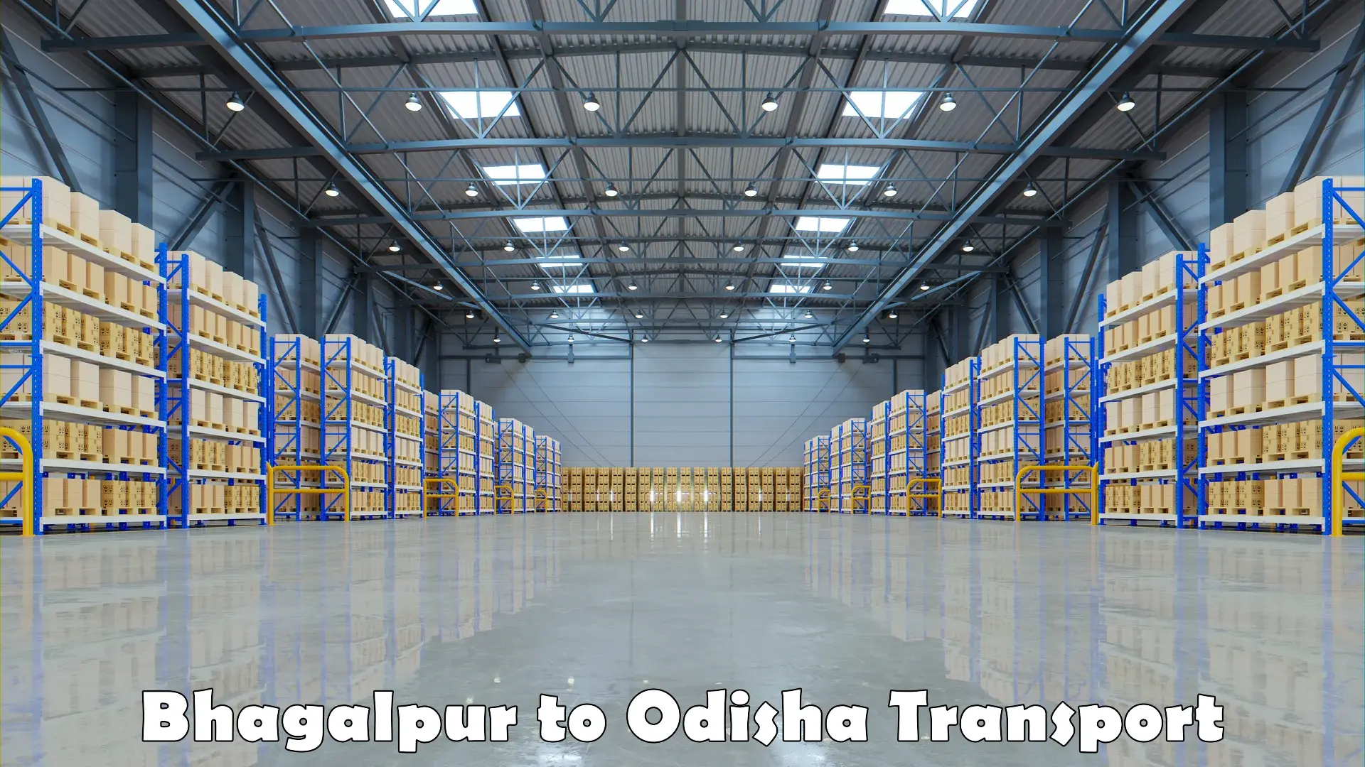 Truck transport companies in India Bhagalpur to Sonepur