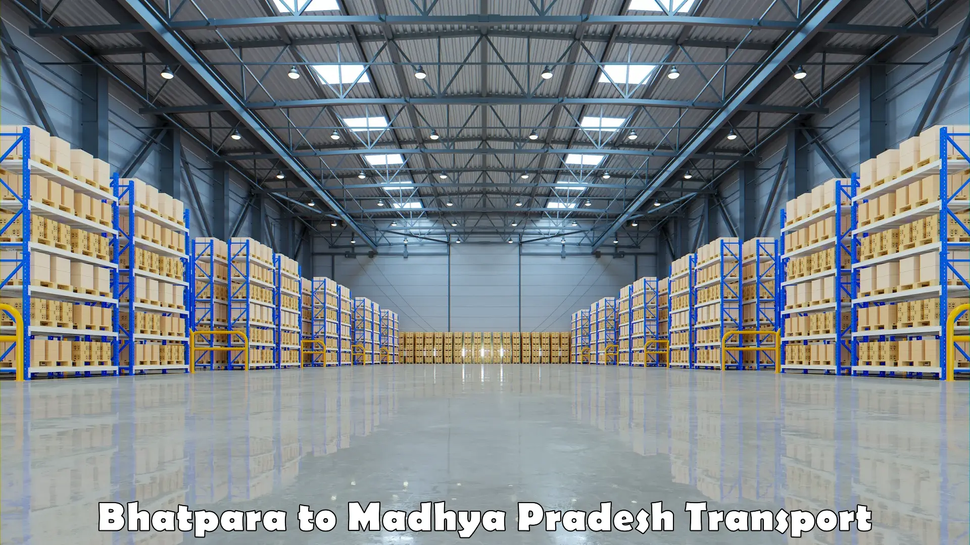 Cargo transportation services Bhatpara to Sendhwa