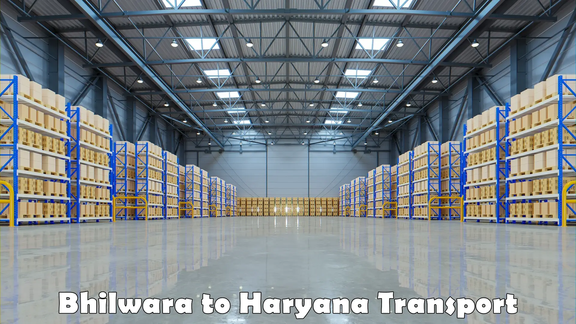 Furniture transport service Bhilwara to Haryana