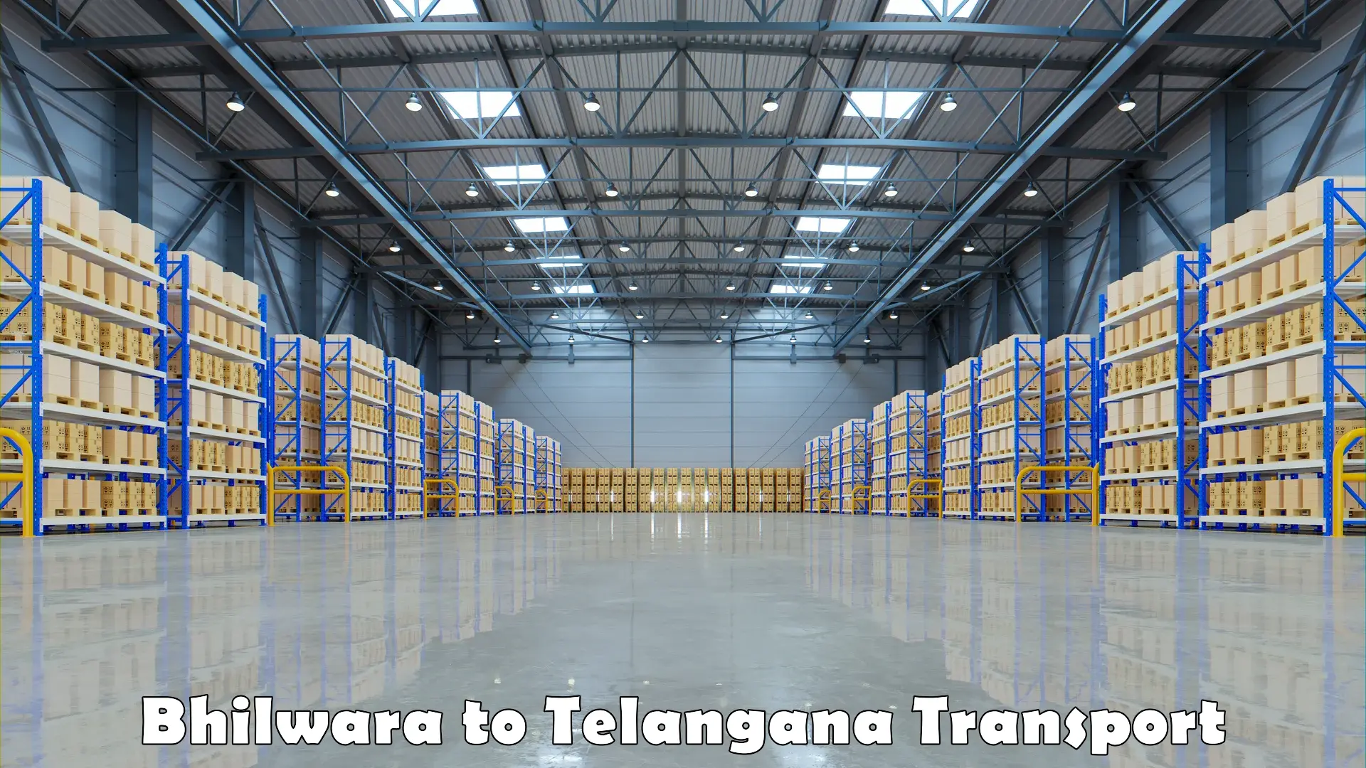 Package delivery services Bhilwara to Telangana