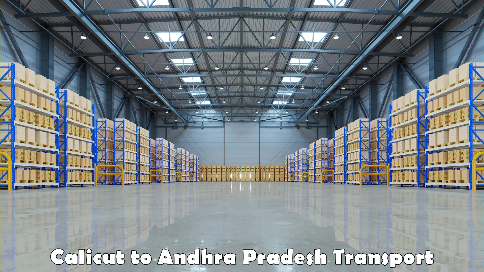 Parcel transport services Calicut to Pedanandipadu