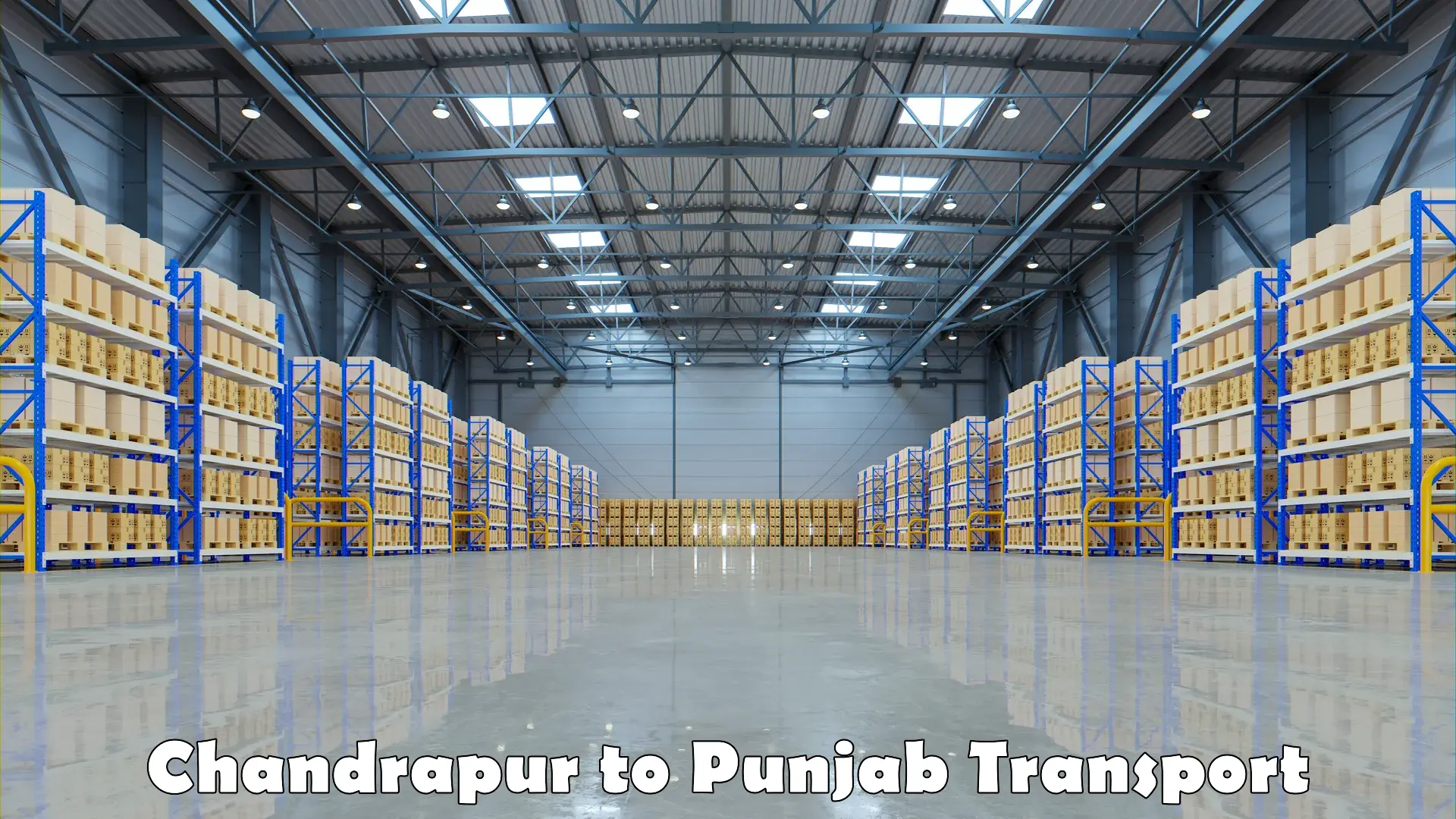 Door to door transport services Chandrapur to Punjab