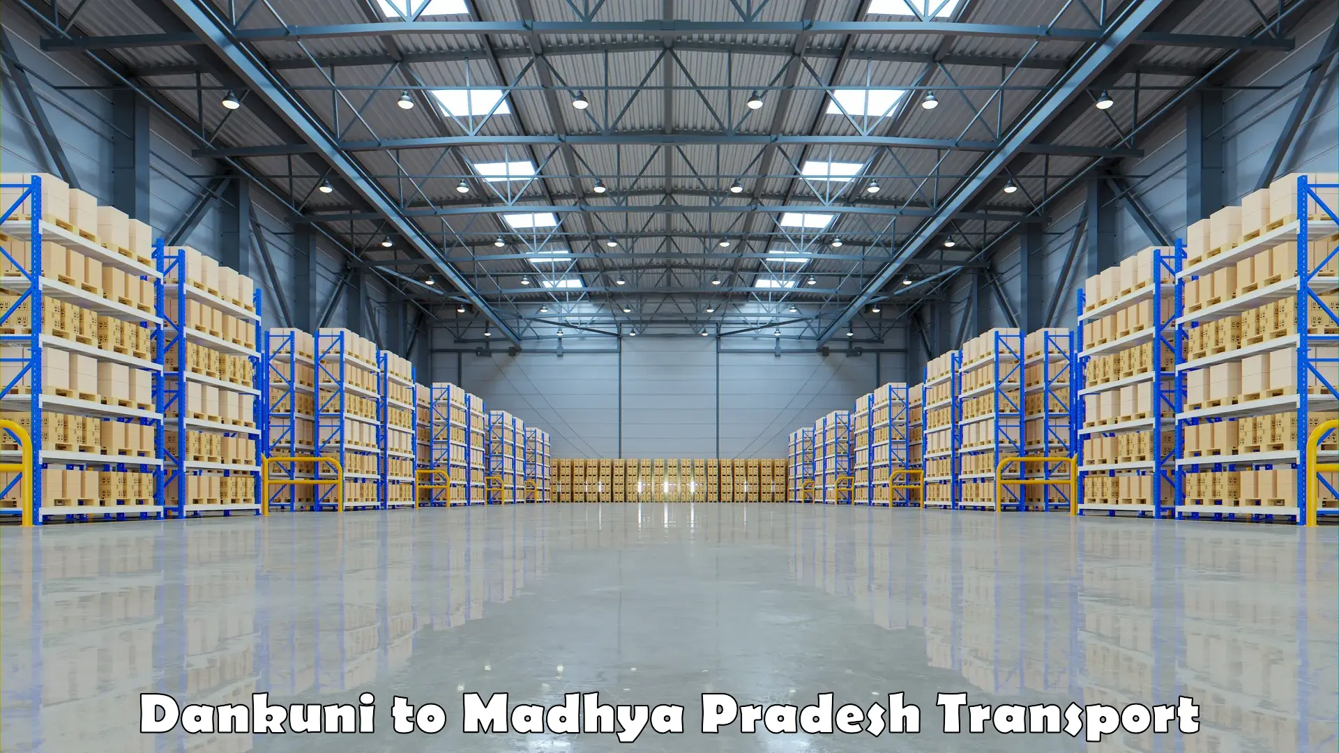 Intercity goods transport Dankuni to Madhya Pradesh