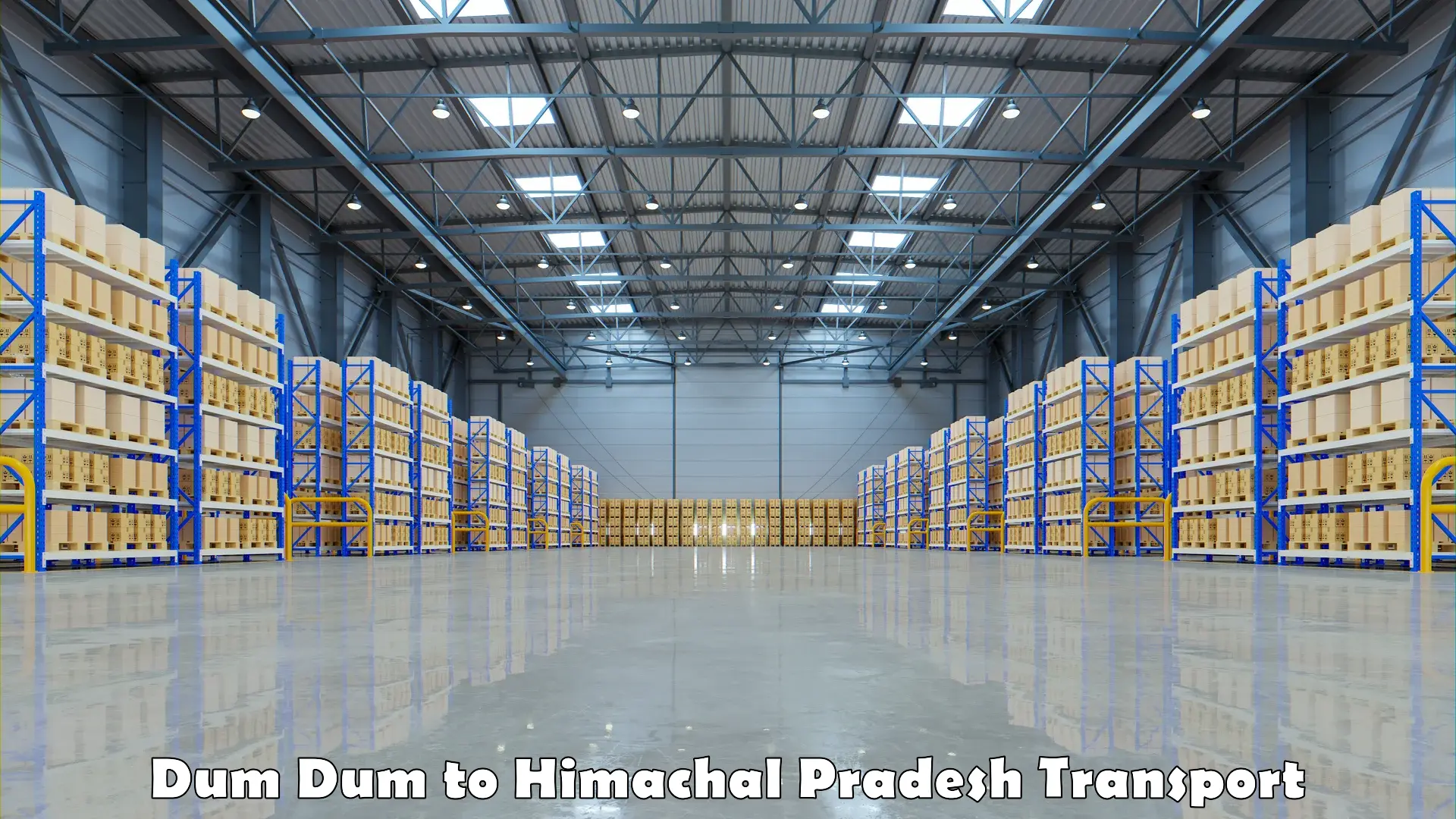 Vehicle transport services Dum Dum to Hamirpur Himachal