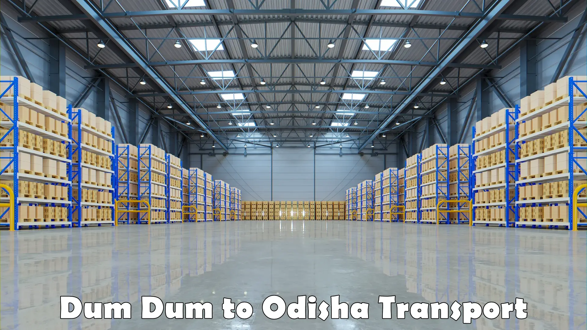 Transportation services Dum Dum to Odisha