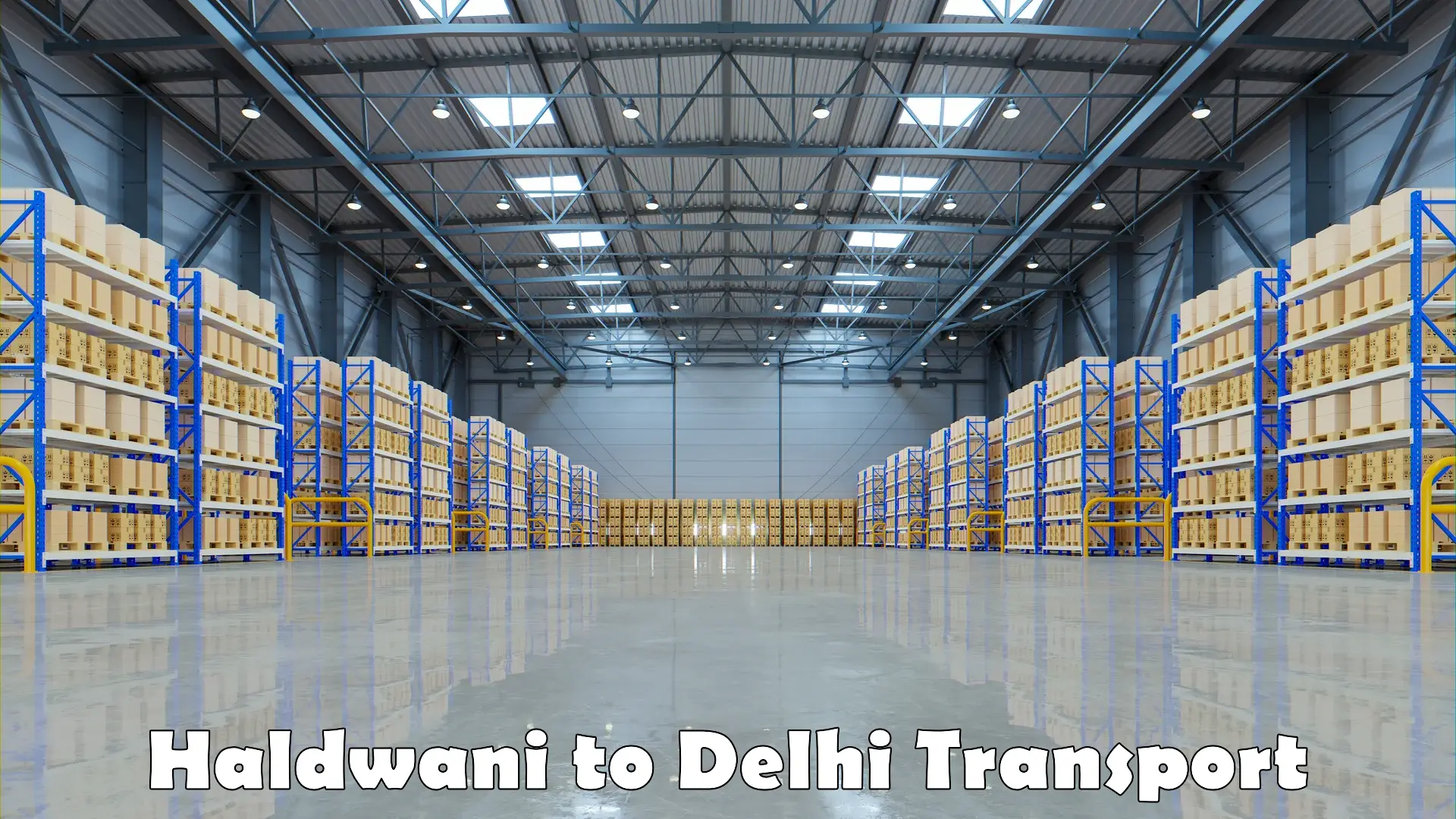 Intercity goods transport Haldwani to Delhi