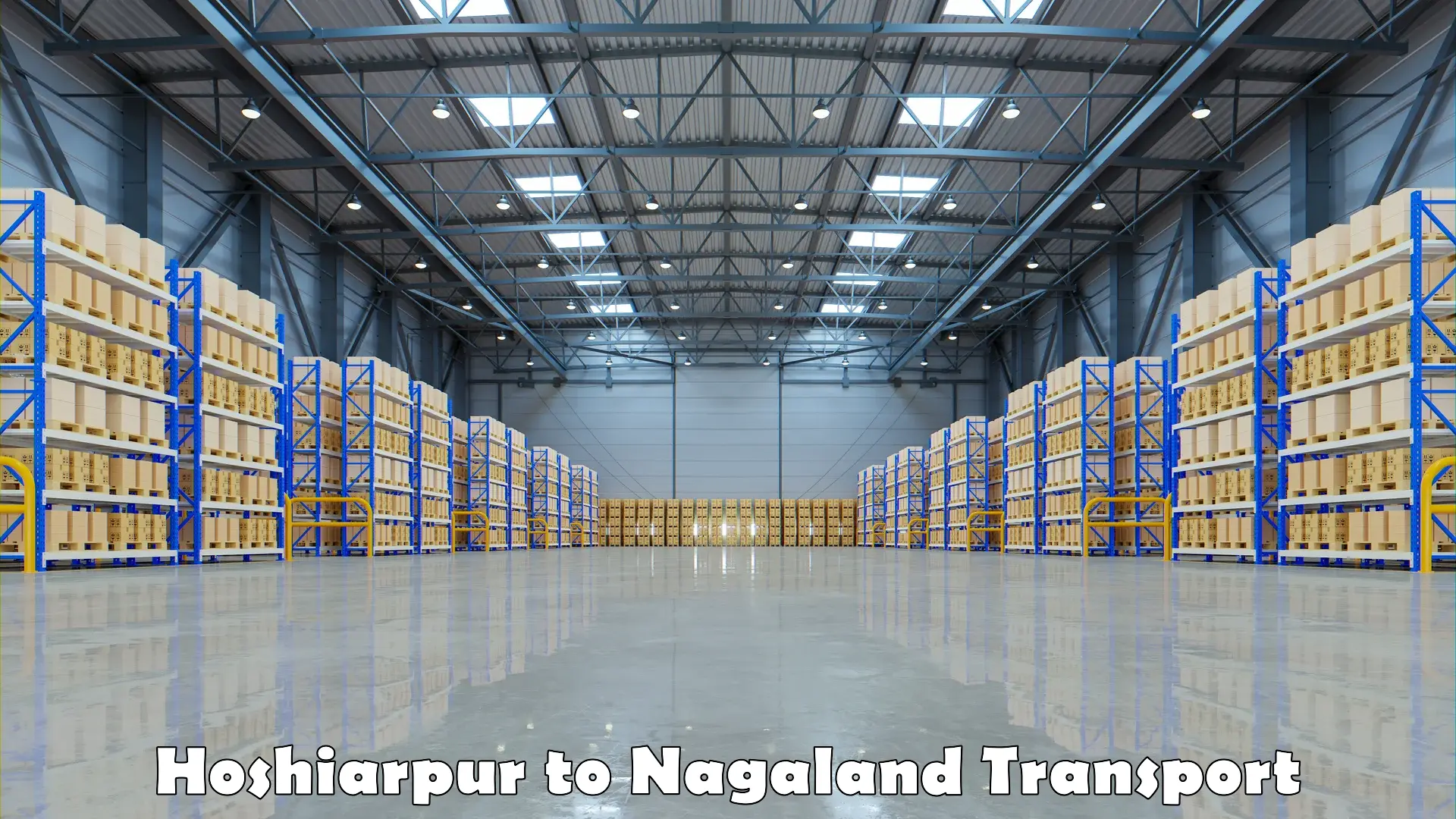 Shipping services in Hoshiarpur to Nagaland