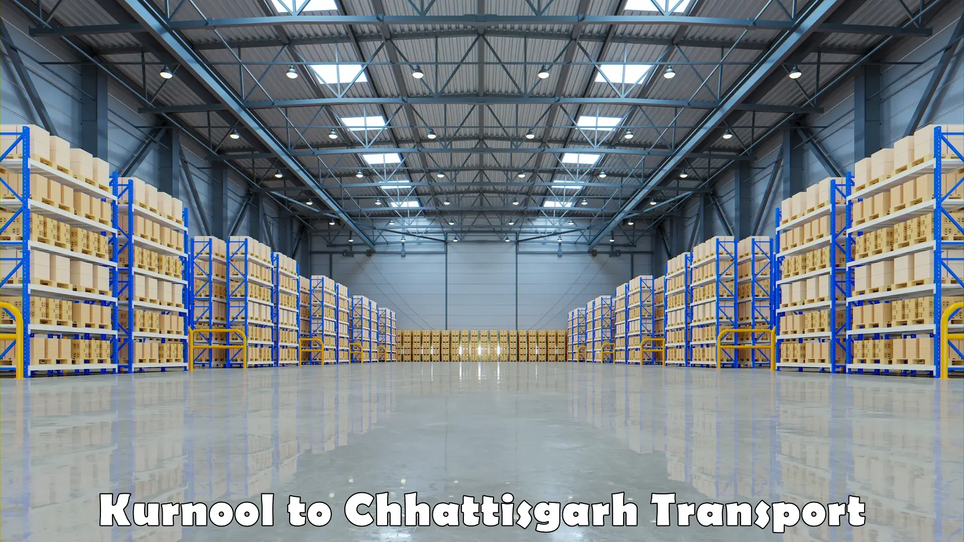 Goods transport services Kurnool to Chhattisgarh