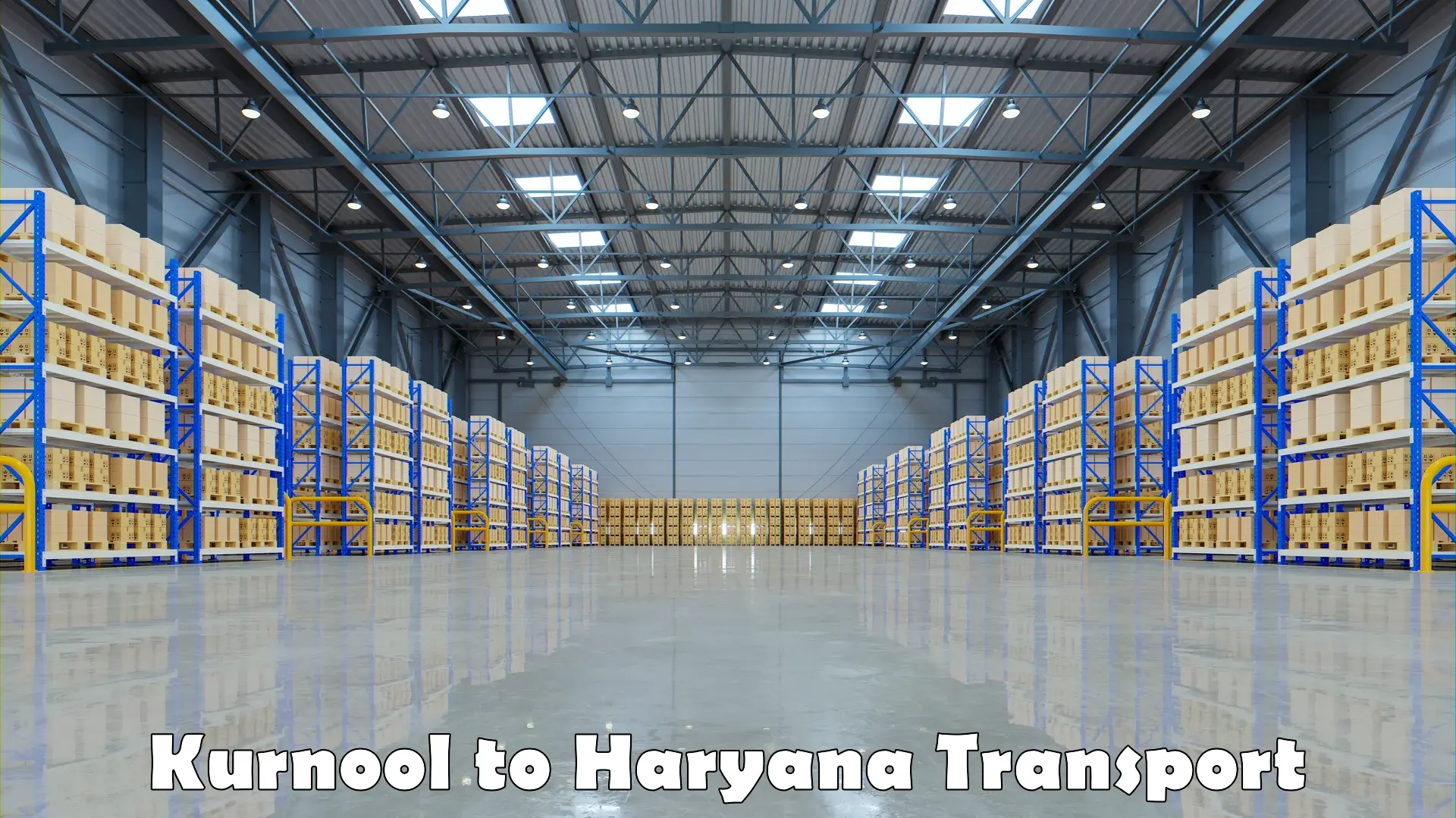 Shipping services Kurnool to Haryana