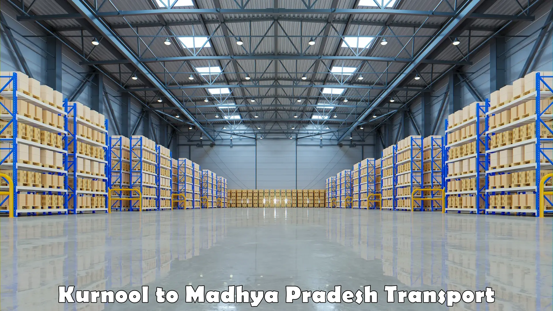 Vehicle courier services Kurnool to Madhya Pradesh