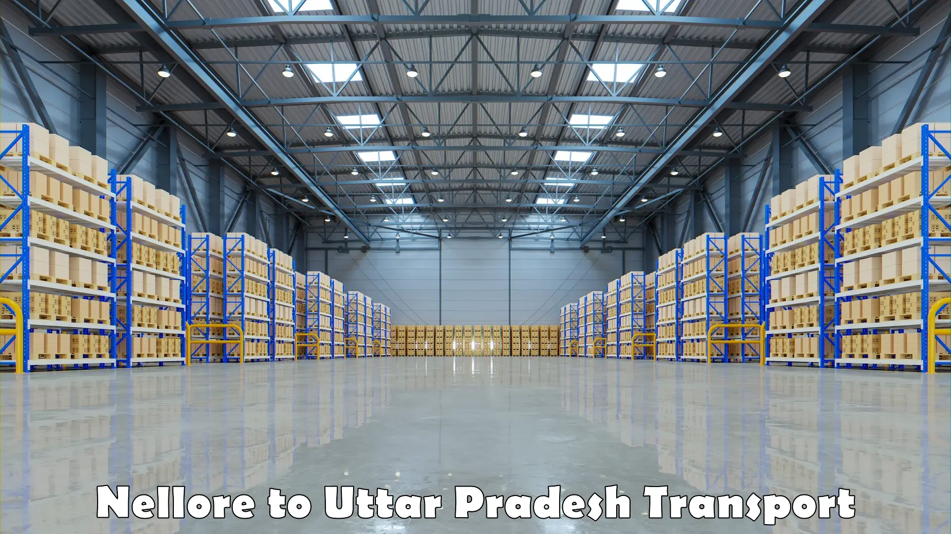 All India transport service Nellore to Uttar Pradesh