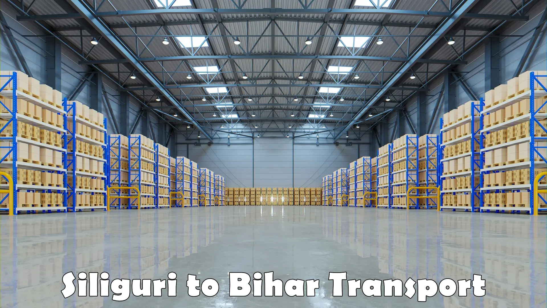 Parcel transport services Siliguri to Bihar