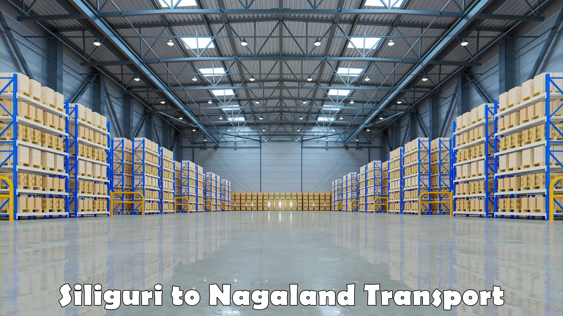 Inland transportation services Siliguri to Peren