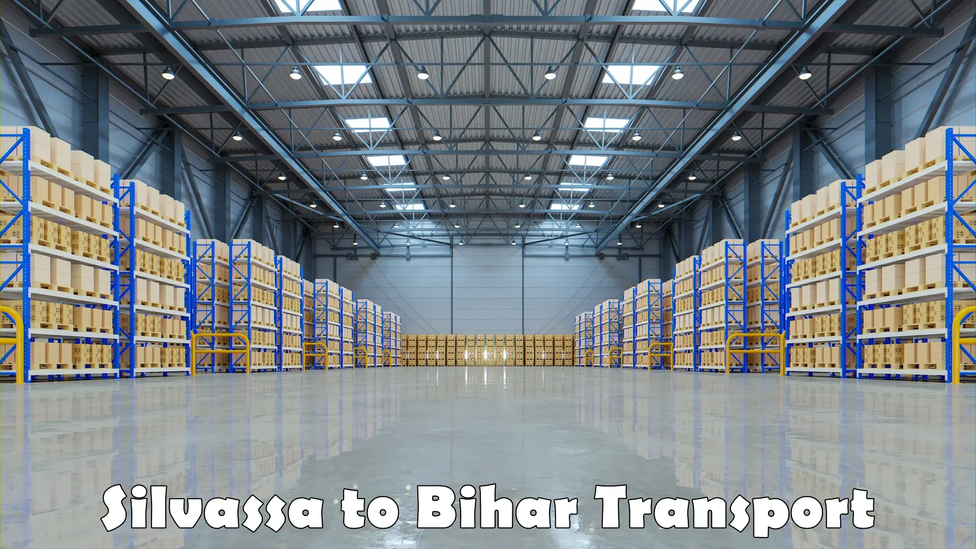 Air freight transport services Silvassa to Bihar