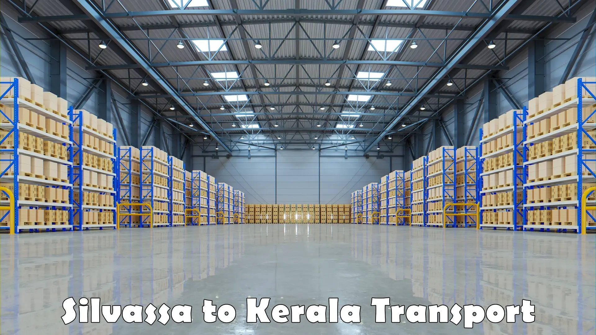 Domestic transport services in Silvassa to Kerala