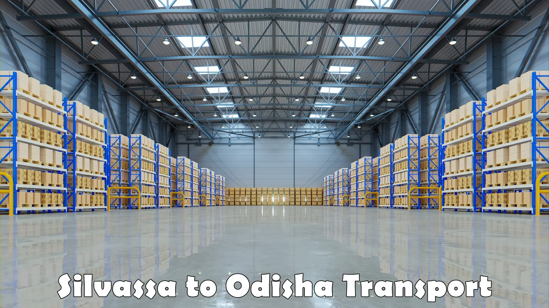 Cycle transportation service Silvassa to Odisha
