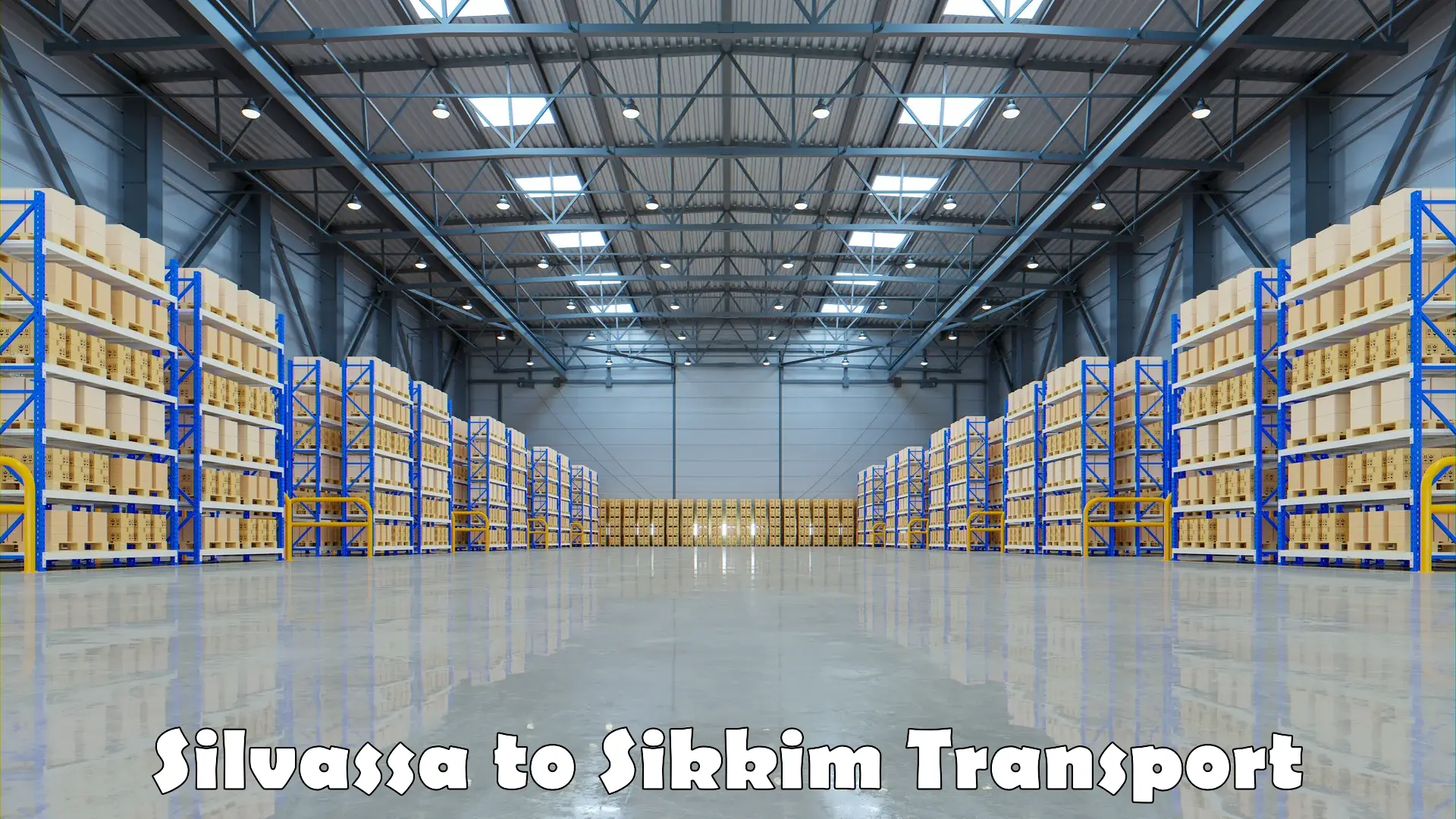 Package delivery services Silvassa to Sikkim