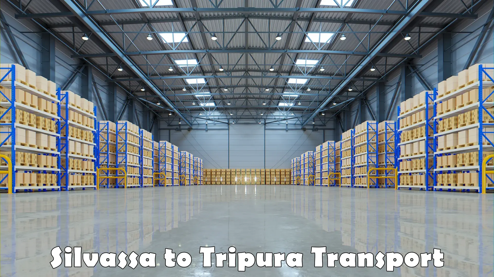 Shipping services in Silvassa to Udaipur Tripura