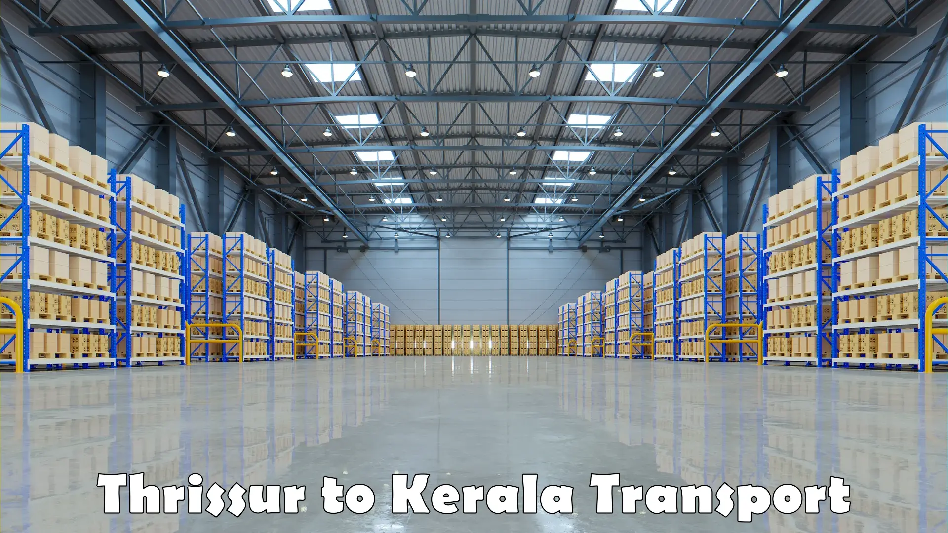 Daily parcel service transport Thrissur to Kerala