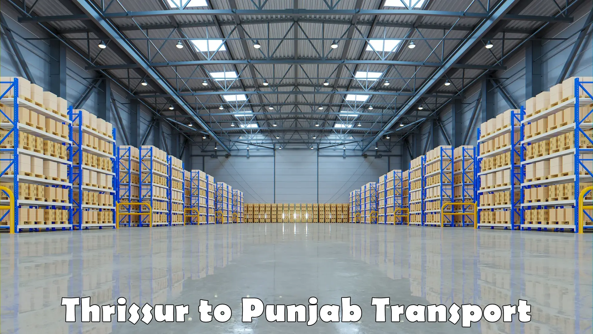 Vehicle parcel service Thrissur to Guru Nanak Dev University Amritsar