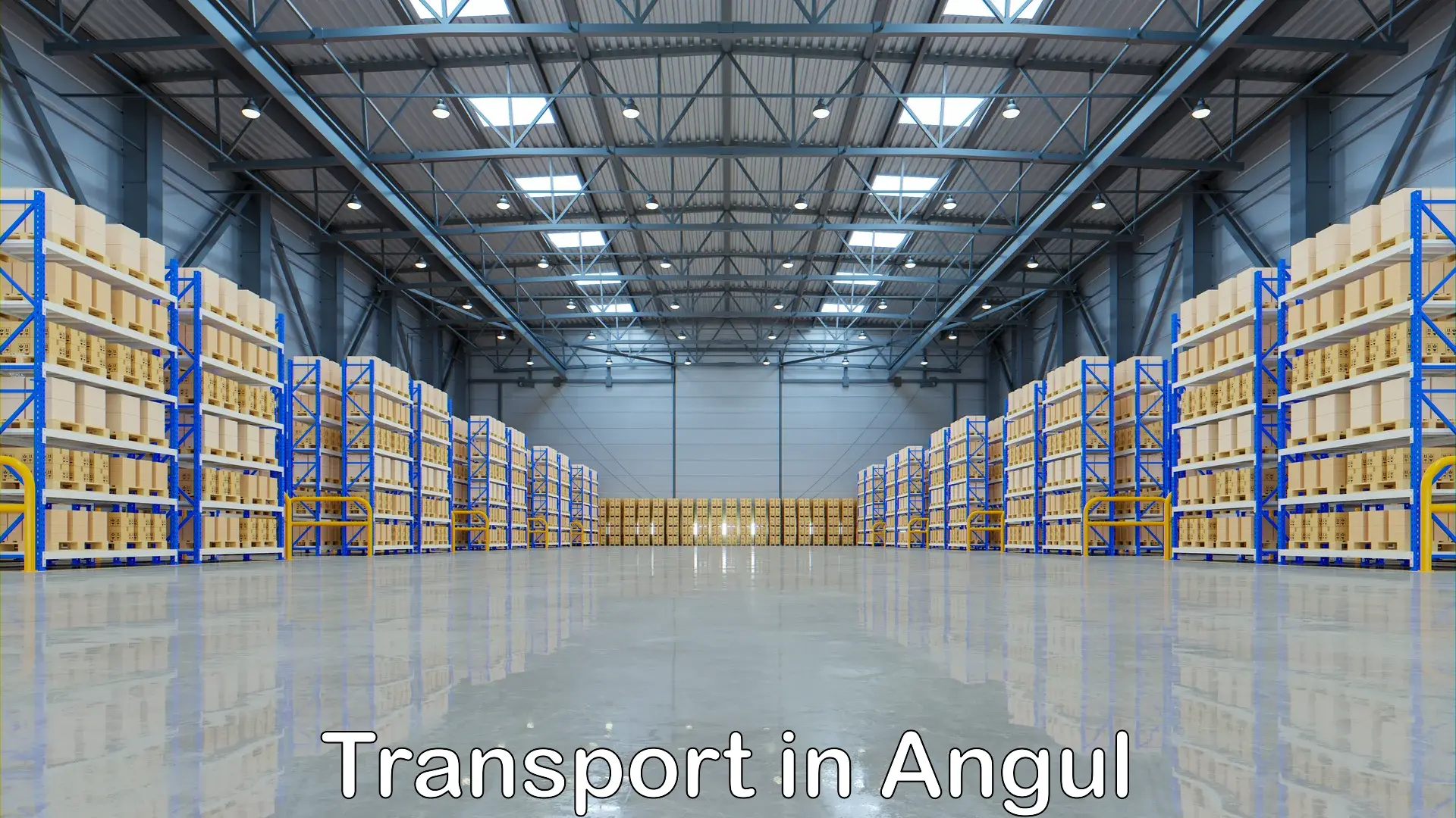 Luggage transport services in Angul