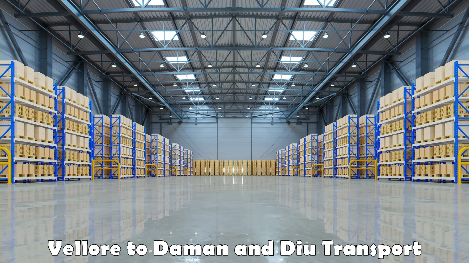 Domestic goods transportation services Vellore to Daman and Diu