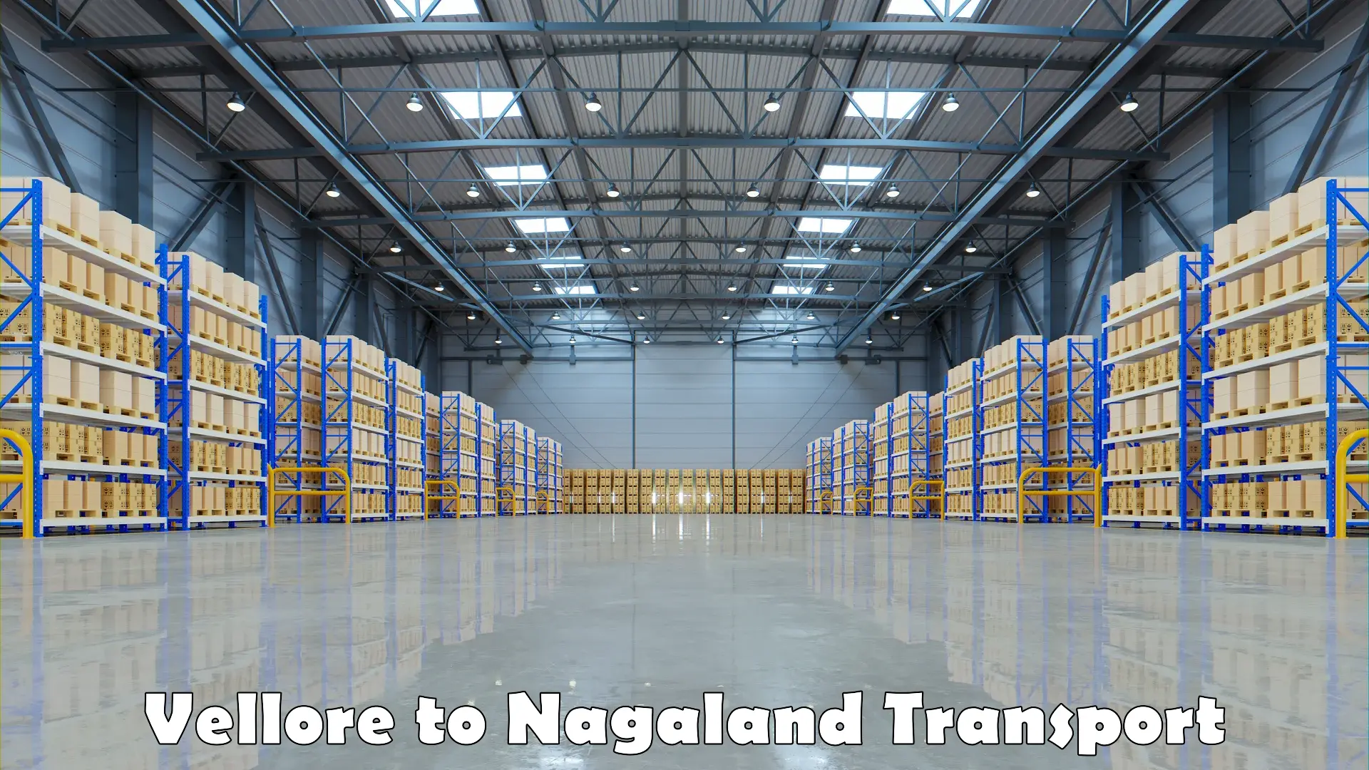 Goods delivery service Vellore to Nagaland