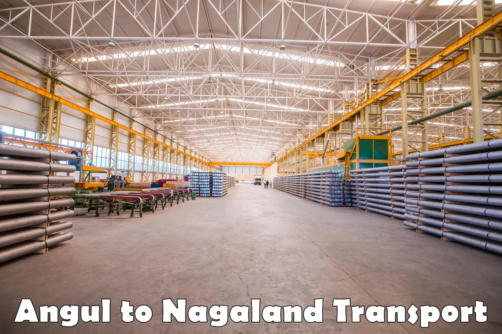Bike shipping service Angul to Nagaland