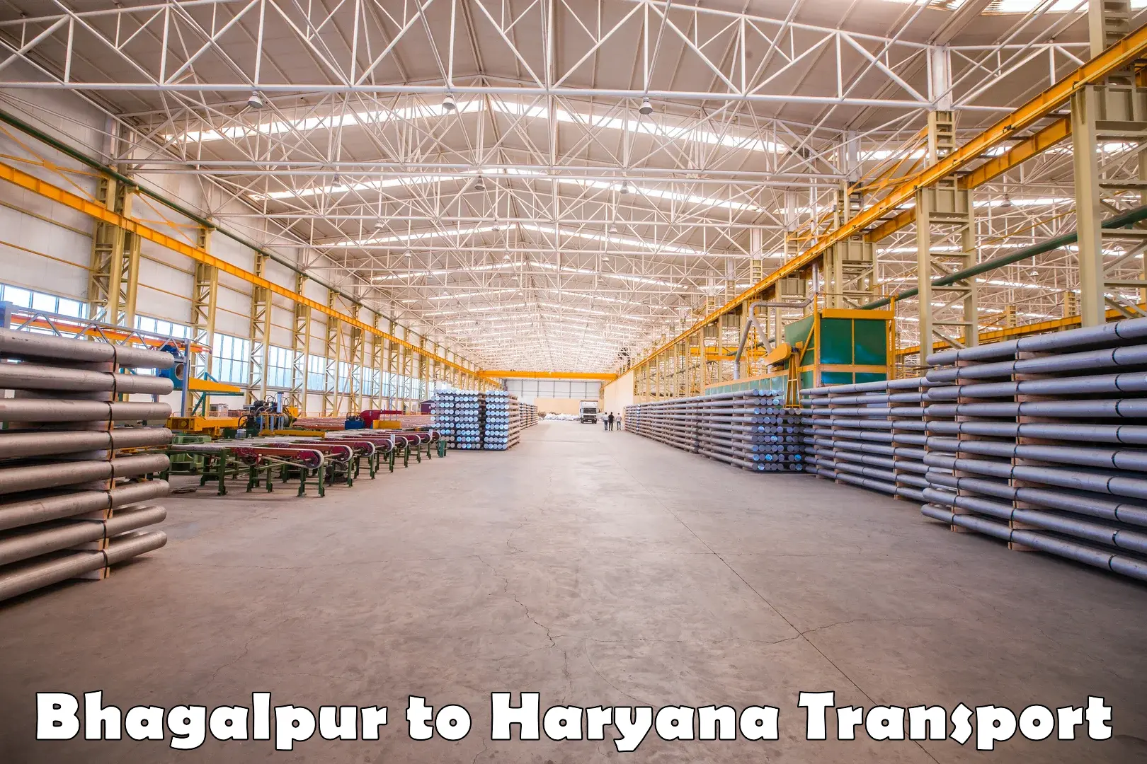 Goods delivery service Bhagalpur to Haryana