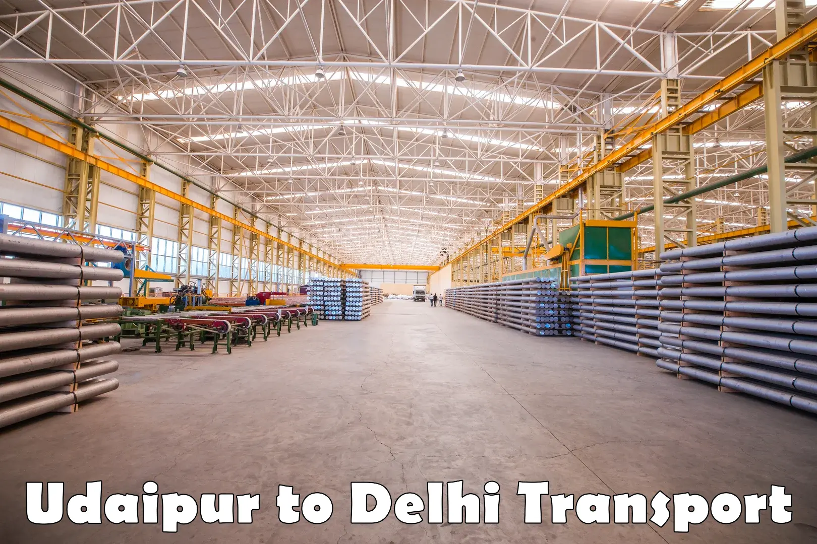 Luggage transport services Udaipur to Delhi