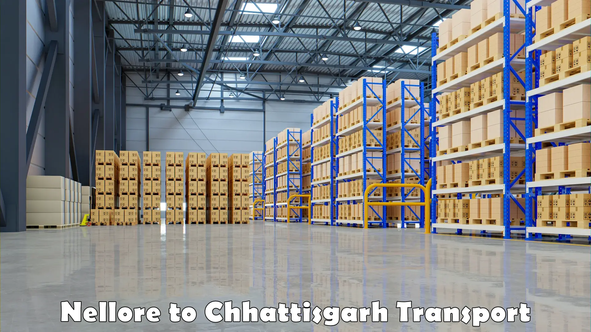 Vehicle transport services Nellore to Chhattisgarh